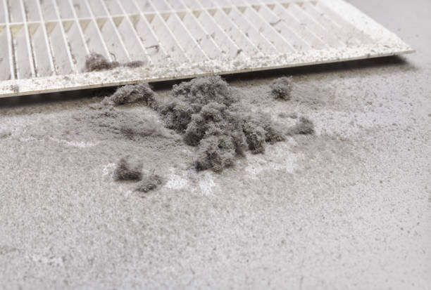 Ductwork Cleaning Services in MI