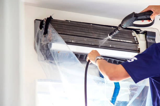 Best Professional Duct Cleaning Services  in St Johns, MI