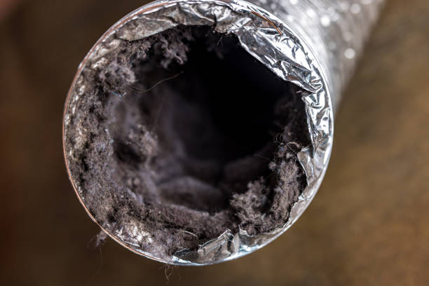 Best Affordable Air Duct Cleaning  in St Johns, MI