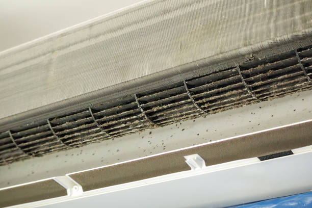 Best Ventilation Cleaning Services  in St Johns, MI