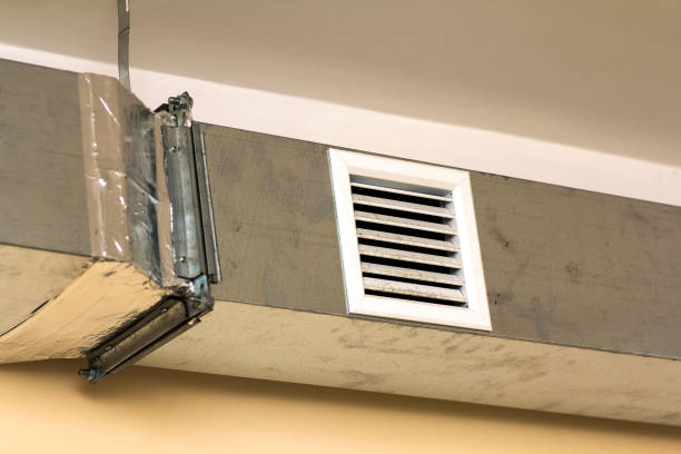 Best Dryer Vent Cleaning Services  in St Johns, MI